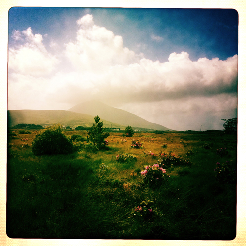 Fintan Friel